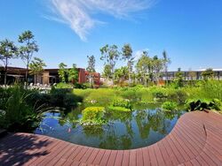 pasir-ris-8 photo thumbnail #5